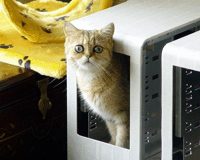 Intel Penryn kommt angetigert
