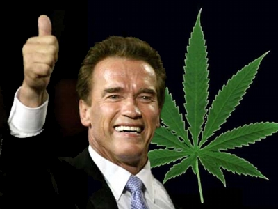 Internetcommunity will es wissen: Schwarzenegger und legales Marihuana