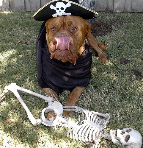 Halloween-Verbot: Bayern dreht durch