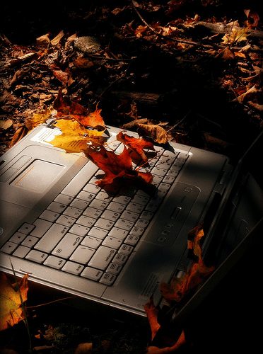 Herbstsaison? Lanparty Saison!