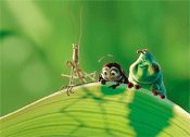 RSV 2: Von Bugs und Anwälten