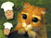 Aussies kochen Hauskatzen