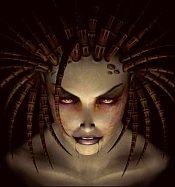 Gerüchteküche – Starcraft Online in Arbeit?