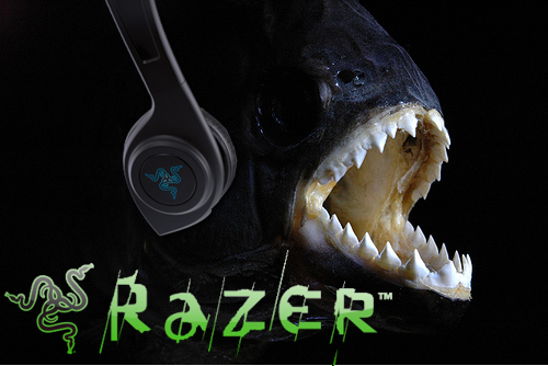 Razer Piranha Testbericht
