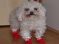 Rene