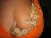 Firefox 3: Beta 3 bring Sicherheit