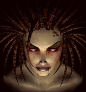 Gerüchteküche – Starcraft Online in Arbeit?