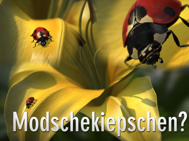 Neue DirectX 11 Techdemos von AMD zum Download