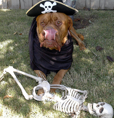Halloween-Verbot: Bayern dreht durch