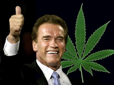 Internetcommunity will es wissen: Schwarzenegger und legales Marihuana