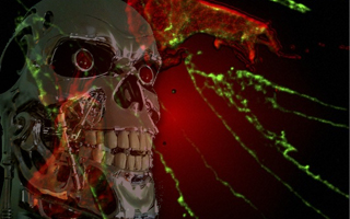 Dimmunix: PC-eigenes Immunsystem