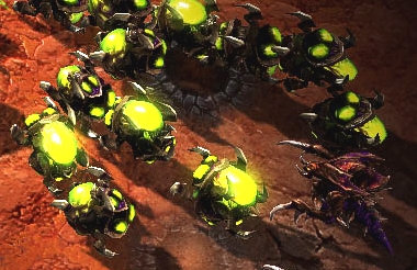 Starcraft 2: Neue Zerg Kamikaze Einheit aufgetaucht
