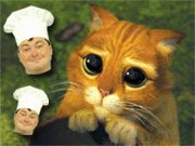 Aussies kochen Hauskatzen