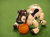 Robocup – FIFA 2020 für Hunde